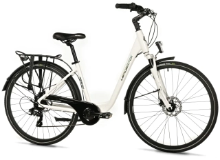 Leader Fox REGION 28", 2025 bílá 17"