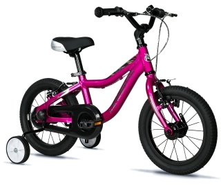 Leader Fox BUBU 14" 2025 fialové