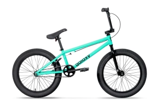 GALAXY EARLY BIRD 20" zelená