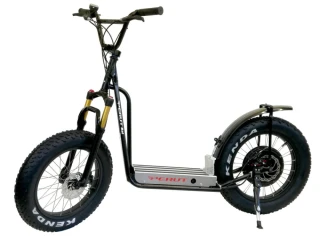 Perut BAT 28 Ah 2000W kola FAT 20"